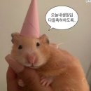 글리플케이크 이미지