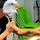 쿠암 네이버블로그