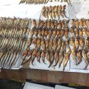 도봉산싱싱사우나 이미지