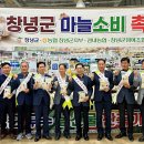 경남마늘유통 이미지