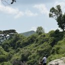 강호맛족 함안점 | 7월. 현파민