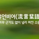 유언비어 - 제천시 | 유언비어