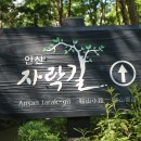 제1274회 평일낮화요걷기 (3,28일) 인왕산둘레길,안산자락길 갑니다(간편도시락지참) 이미지