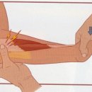 S&C 트레이닝 센터 이미지