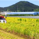 진도축산 이미지