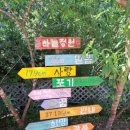 청화산하늘정원 이미지