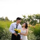 두번째 섬데이 | 썸데이그래피에서 세번째 웨딩스냅사진 후기