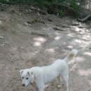 자룡농장 이미지