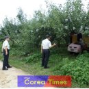 금마파출소 이미지