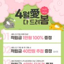 더엔에스 이미지