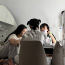 8월 : 아유 즐거워라