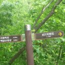 아홉사리로 이미지