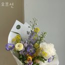 오브선