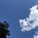 노형농원 이미지