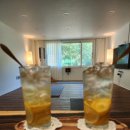 힐링바이오 이미지