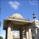 로얄피시 이미지