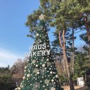 양평벚꽃하우스 이미지