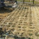 갈곡 연정 이미지