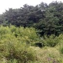 쌍치시산초등학교 이미지