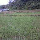 웅이네 농장 이미지