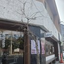 큰골목장 | 앞산 카페_ geez 지이즈 솔직 후기 | 분위기는 좋지만 주차는 조금 아쉬웠던 곳