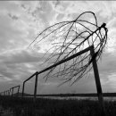 갯벌정원 이미지