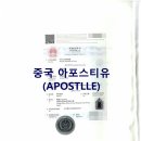 중국국제행정사 이미지