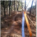 바우길 12구간 이미지