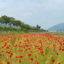 오늘도 어김없이 달렸어요~ 이미지