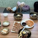 솟대길포차 | 이천 애견동반 가능한 식당 막국수 맛집 솟대산골막국수 내돈내산 추천