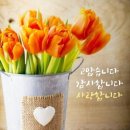 새 해 소 망 / 인 생 은 축 제 다 이미지