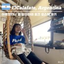 엘호스텔(L-Hostel) | [아르헨티나] 엘 칼라파테 숙소 추천 요리도 가능한 가성비 좋은 포크 (Folk) 호스텔
