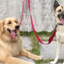 뚜레쥬르 하남유니온시티점 이미지