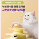 누리펫