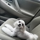 랄라펫살롱 이미지