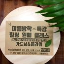 책+식물놀이터 이미지