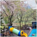 푸른자연 이미지