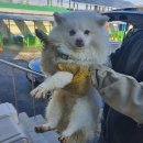 우성아파트후문 이미지