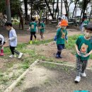 수봉공원 (유아숲체험원) 이미지