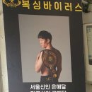 복싱바이러스 네이버블로그