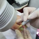 키스네일 네이버블로그