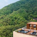 포레스트리솜 이미지