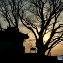 안동시시설관리공단교통약자이동지원센터 이미지