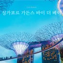 호텔더베이21 | 싱가포르 여행 가든스 바이 더 베이 입장권 슈퍼트리쇼 시간
