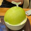 음식포토덤푸