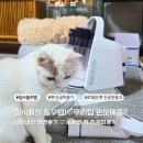 행복한집사 | 집사들의 필수템!🐱 팻 진공미용기 이용기♡내돈내산 찐찐후기