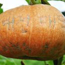 이현동2 이미지