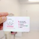 멍멍이네미용실 이미지