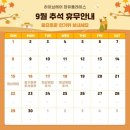 하이브헤어 이미지