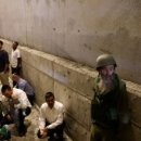 대조-009 이미지